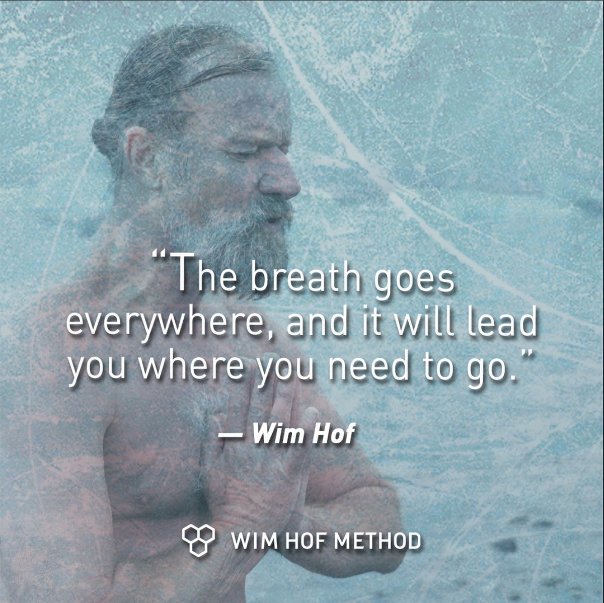 Wim Hof tweet media