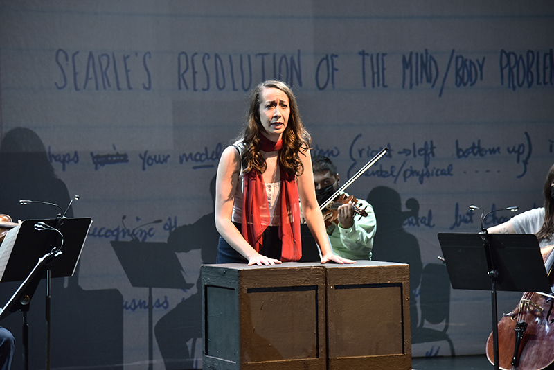 Painted Sky Opera tweet media