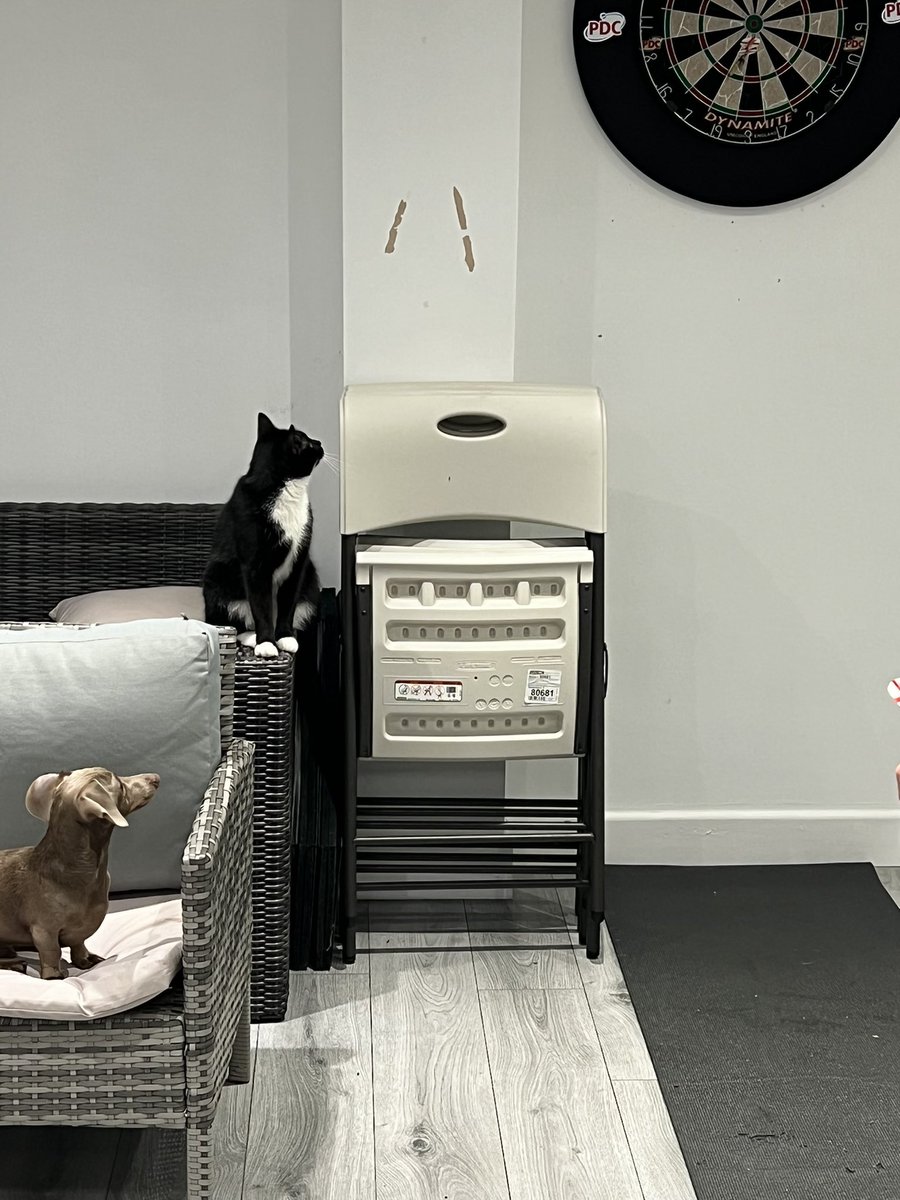 comrade boy tweet media