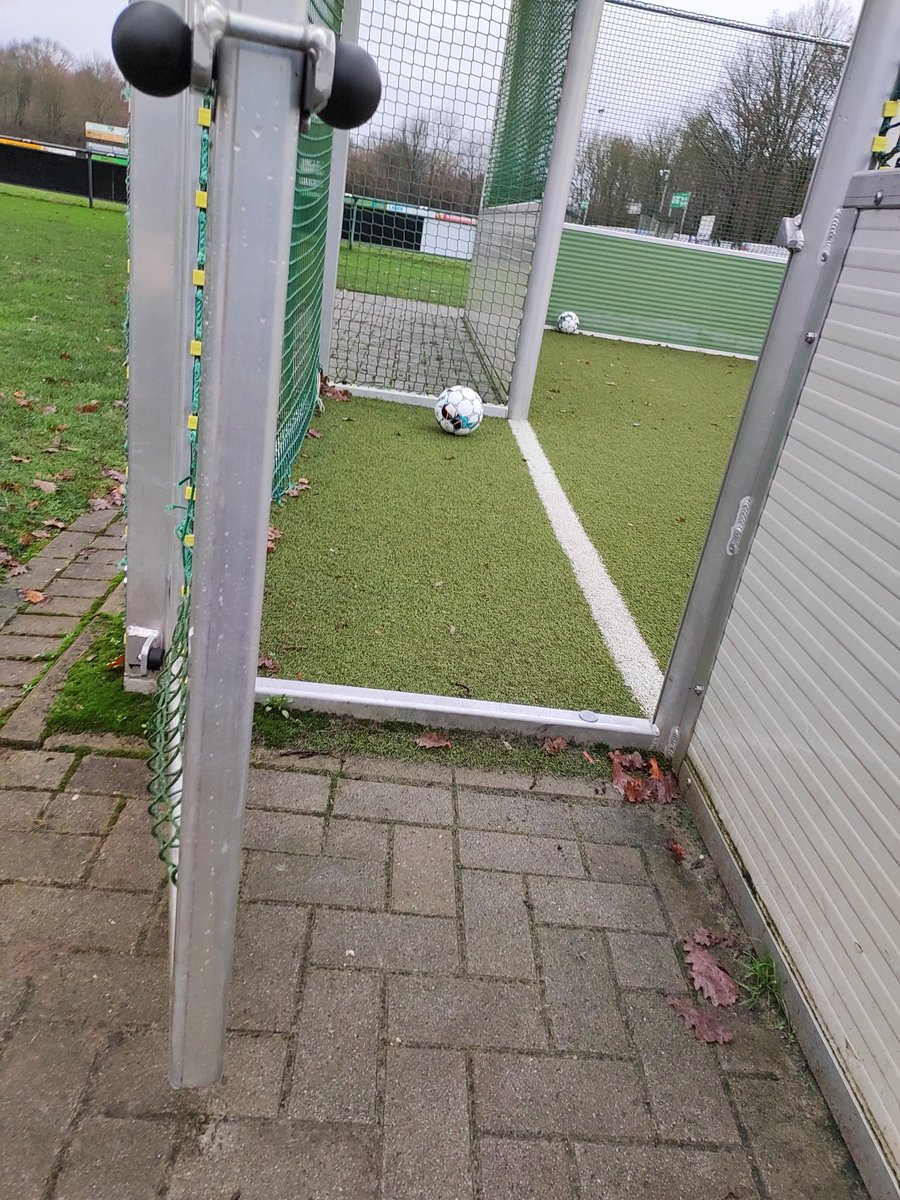 kischersflaus's tweet photo. Individualtraining in unserem Soccerkäfig. 🤩⚽✌️#ForzaSVB https://t.co/7VoITNpRrX