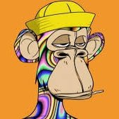 hugo aisha tweet media