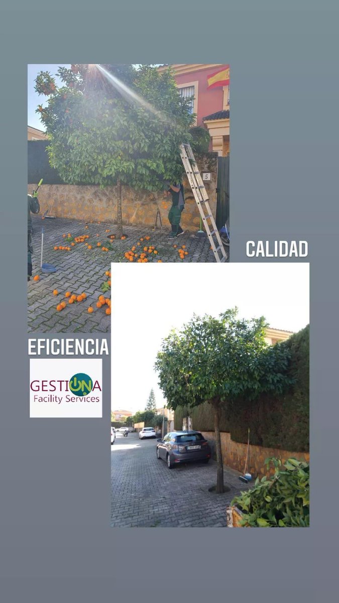 GESTIONAFS tweet picture