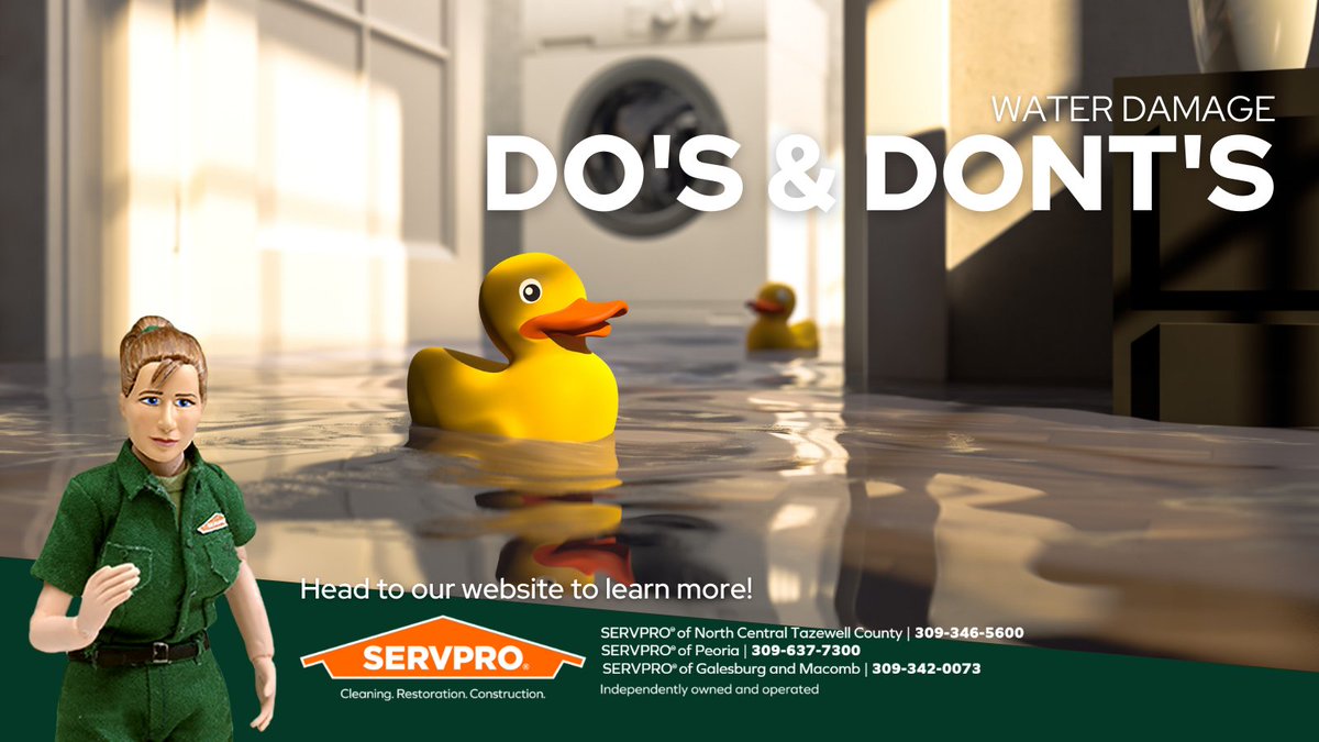 bddy.me/32vpbF9 
#servpro #centralillinois #cleaning #restoration #dosanddonts #watertips