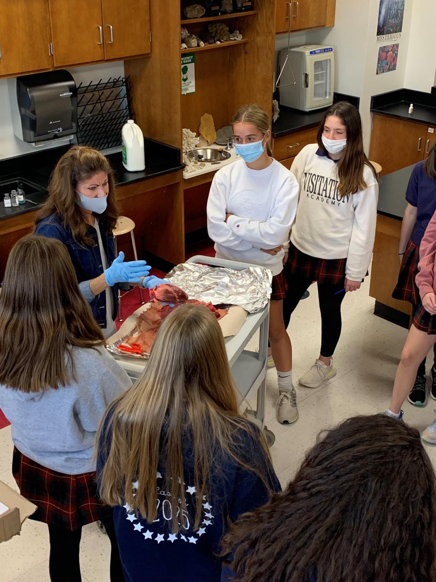 VizAcademy's tweet photo. 8th grade “shadowed” 9th grade to see what Biology will be like. They sat in on Mrs. Benigno's class and were able to see a deer's heart and lungs. The 8th grade left her room feeling very excited for next year!
#biologystudent #biology #vizpride
#readyforhighschool https://t.co/3d8GOpwwZI