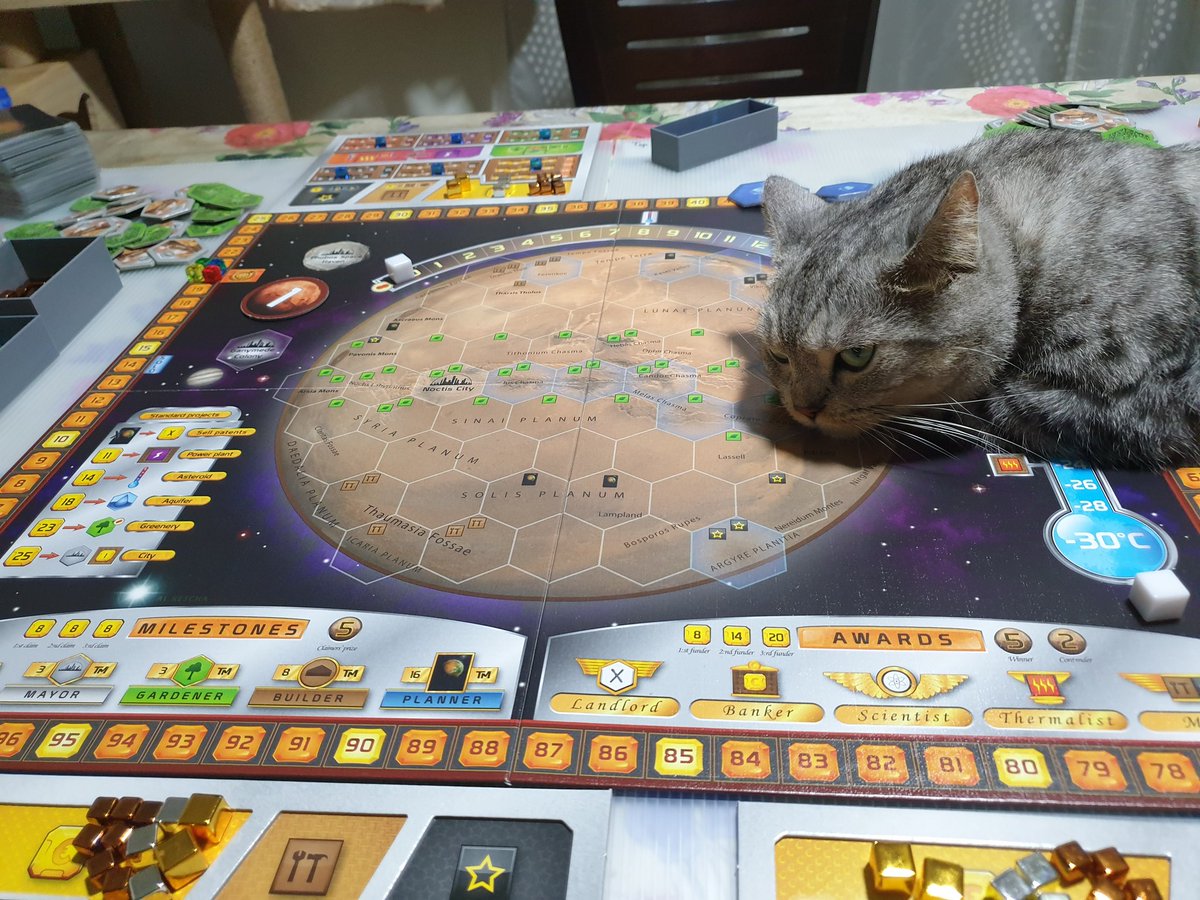 CatStorageIdeas's tweet photo. @JamesHuntrods Oh, so annoying yet so adorable. Our cat Misty does it too! She can't understand why we'd want to play with pieces on a board when we could be playing with her instead https://t.co/ncmaQQ440r