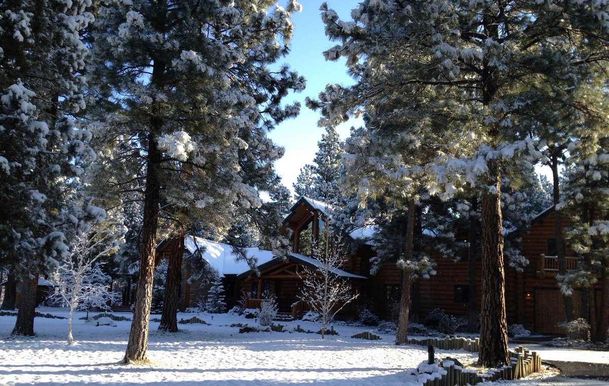 Jess Walton tweet media