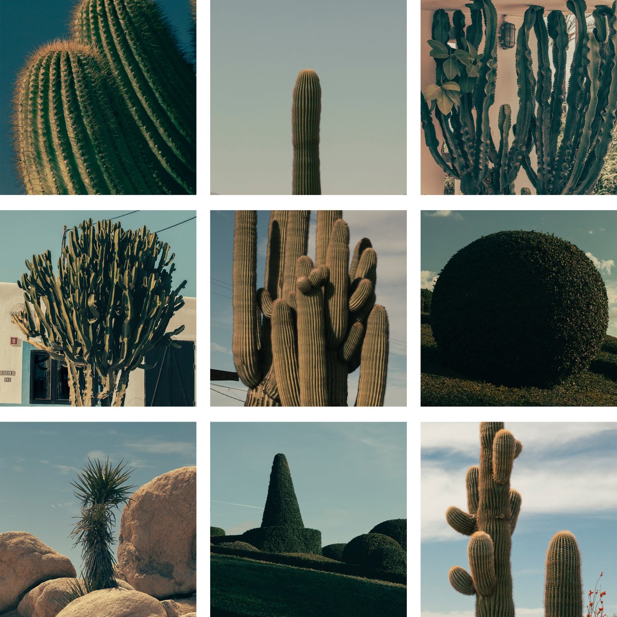 kinfolkmag's tweet photo. Captcha This! In the Technology Issue, we're reimagining the captcha test. To prove you're not a robot, please identify all squares featuring cactuses. |  https://t.co/BYEkmv8sXB https://t.co/pKBmRFUP6X