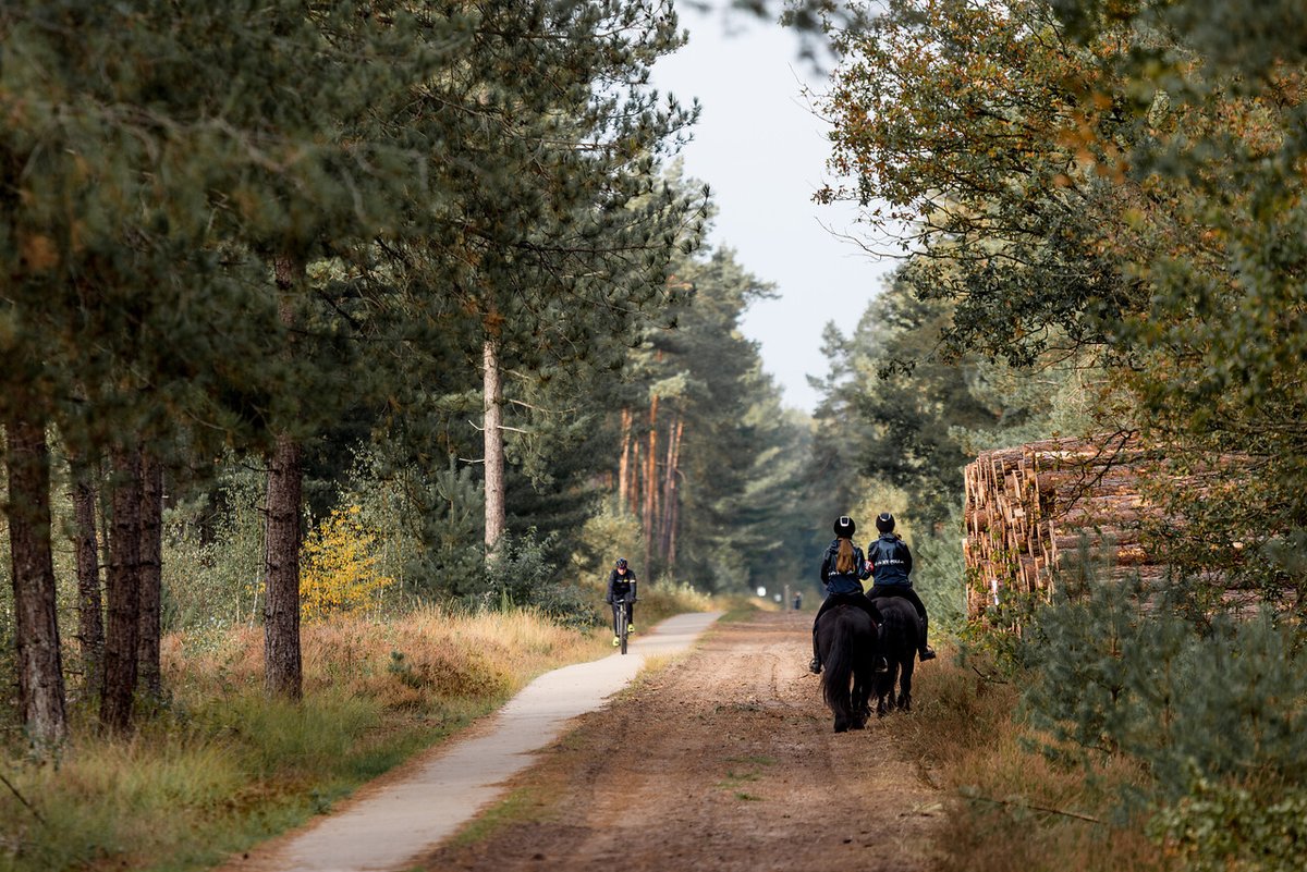routesinbrabant.nl (@routesinbrabant) on Twitter photo Gelukkig Nieuwjaar🍾! Op naar een gezond en actief 2022. Graag verwijzen we naar de #Druktemeter voor als je op pad gaat in de natuur: visitbrabant.com/druktemeter. Hier zie je waar het rustig is, en waar (mogelijk) druk. <a href="/staatsbosbeheer/">Staatsbosbeheer</a> @Natuurmonument @Brab_Landschap Gelukkig Nieuwjaar🍾! Op naar een gezond en actief 2022. Graag verwijzen we naar de #Druktemeter voor als je op pad gaat in de natuur: visitbrabant.com/druktemeter. Hier zie je waar het rustig is, en waar (mogelijk) druk. <a href="/staatsbosbeheer/">Staatsbosbeheer</a> @Natuurmonument @Brab_Landschap