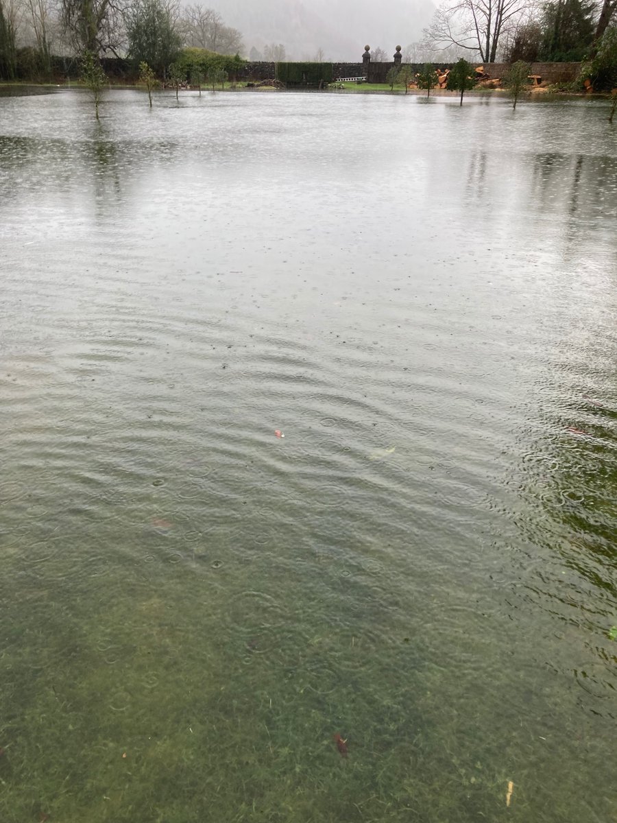 JudyCorbett's tweet photo. Dealing with the fallout of an unexpected flood today. River overtopped after not much rain. The flood wall we built with our volunteers has reduced depth of average flood by 5ft which is amazing. But...(1/2) https://t.co/wSODhsntIo