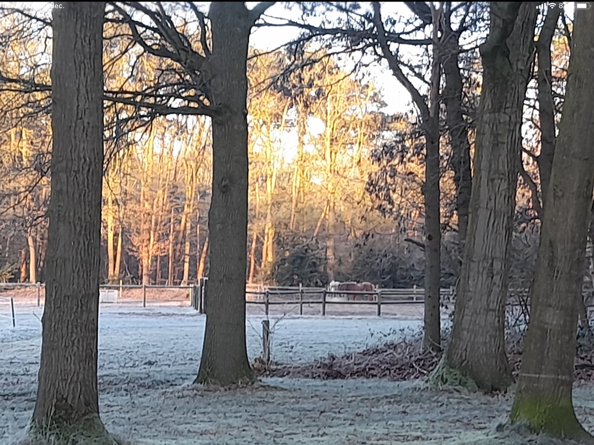 SimoneL93763122's tweet photo. #mooistefoto2021. Dank voor al dagen genieten van deze prachtige challange  @adriana57.
Deze is het voor mij. #Gassel. Dierbaar plekje! https://t.co/GcoLIyVGHE