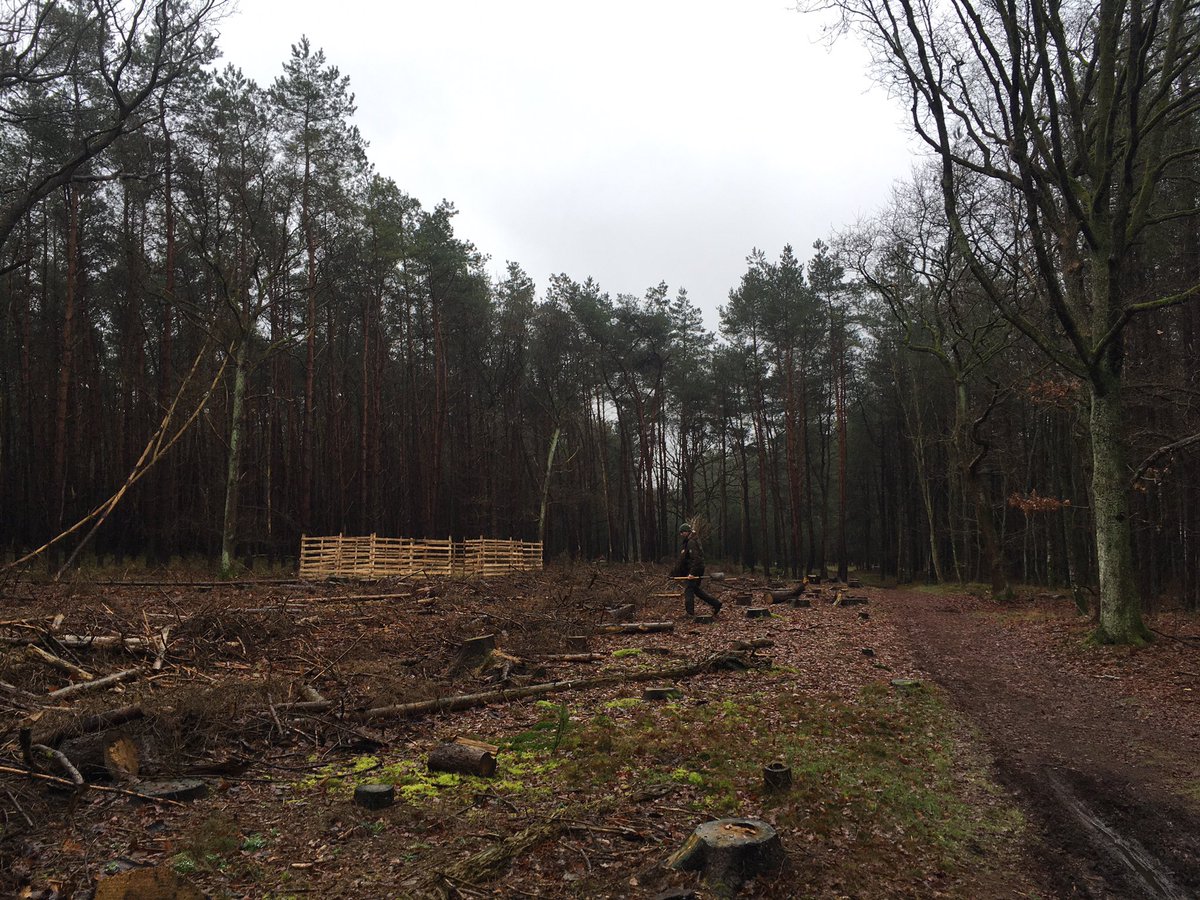 Peter30775782's tweet photo. Nice joint end of year action @Rob_Rossel @JohnDidderen @MirjamHiep @Daan40872511 planting forest trees @mooigooi #nature #trees #conservation https://t.co/O96SMBYNvZ