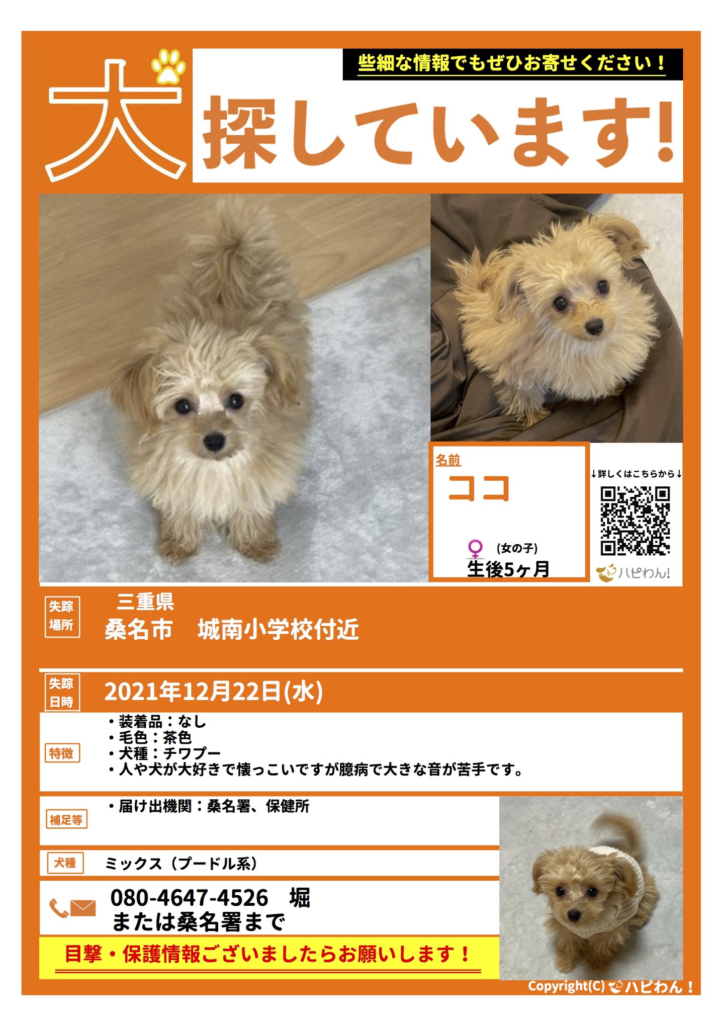 ココ 迷子犬ココ 9日目 今日も再会できず この寒い中ボランティア参加していただいた方 本当にありがとうございました 今温かい所で過ごし 充分にご飯が食べられてますように 明日は21年最後の日 奇跡が起きますように 迷子犬 三重県