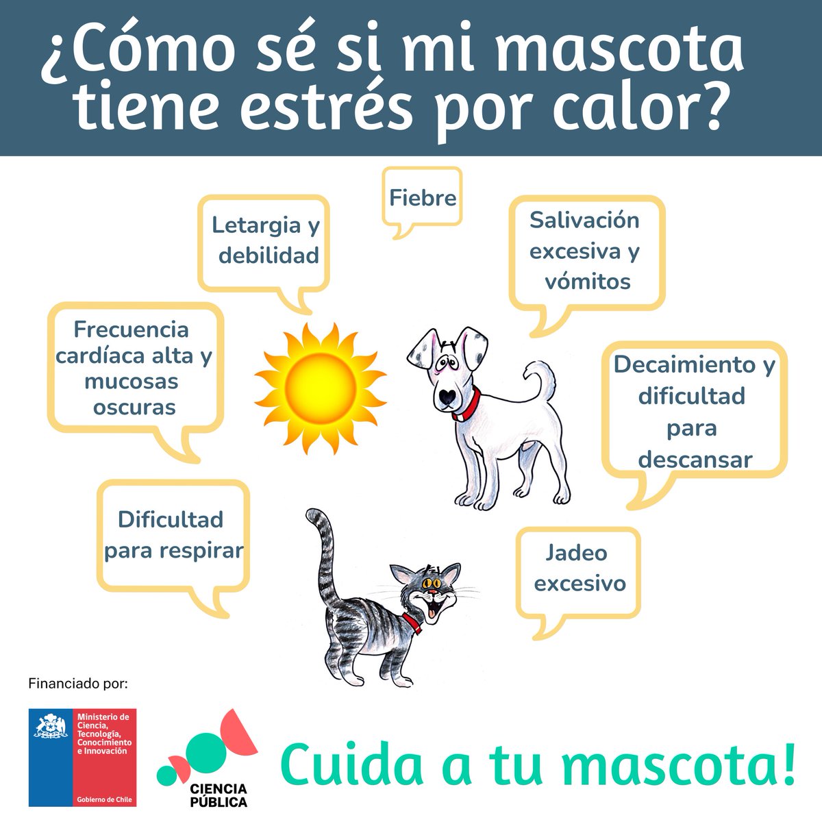 g_animales's tweet photo. Se vienen días calurosos en varias regiones, esto puede afectar a tus mascotas, acá algunos signos de estrés por calor para estar atentos! recuerda mantener agua fresca a libre disposición para tus animales. https://t.co/WiCkYpeO8P