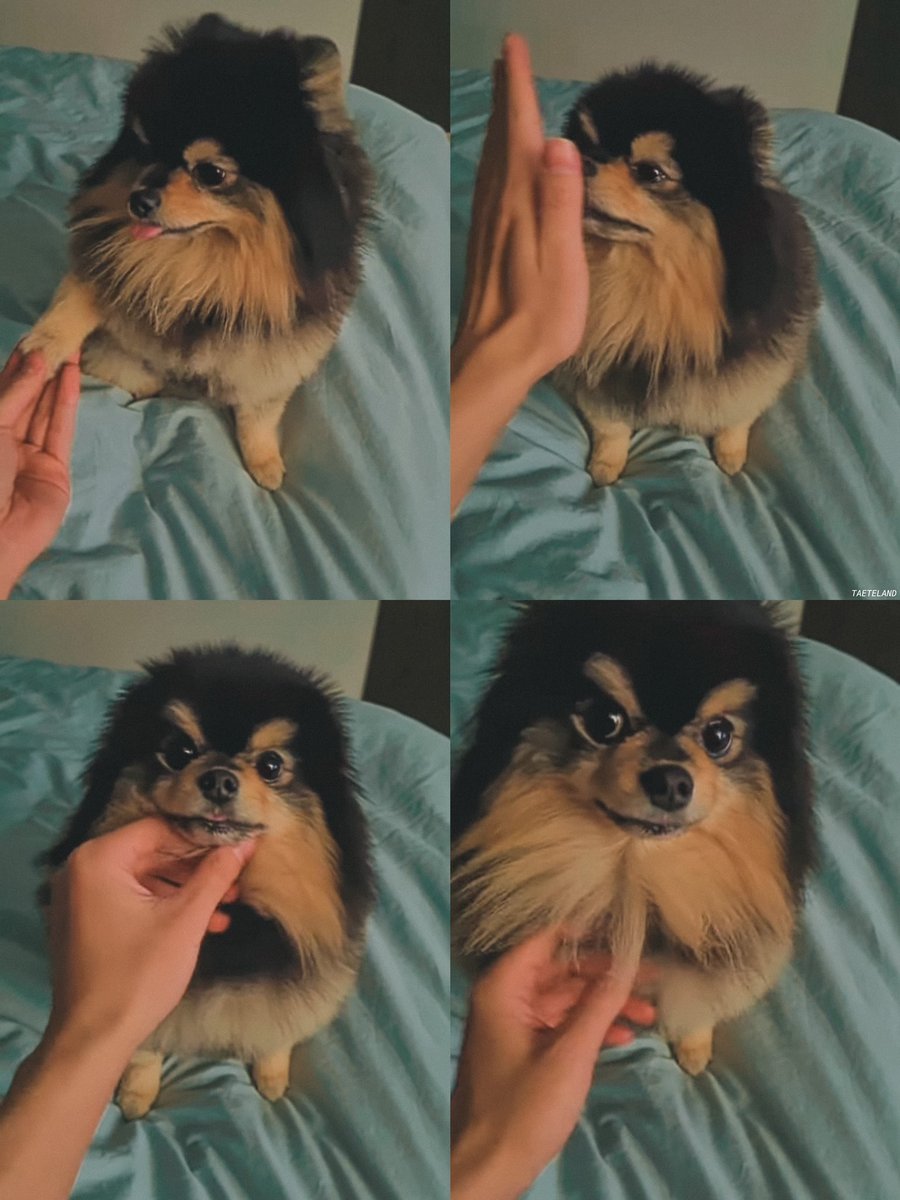 taehyung ♥︎ yeontan i love them sm