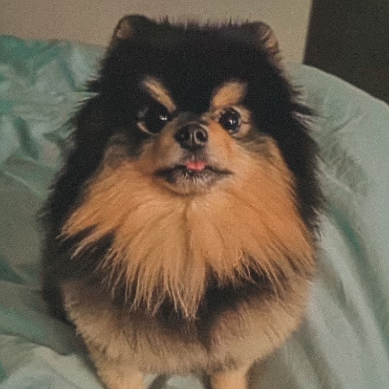 taeteland's tweet photo. please look at him #HAPPYVDAY https://t.co/BU8VMgQcND