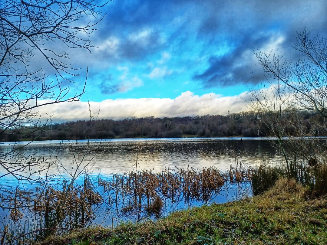 Great to eventually get out for a short walk and see some blue sky for a change .Escomb lake near Bishop Auckland #Wellbeing #naturehelps