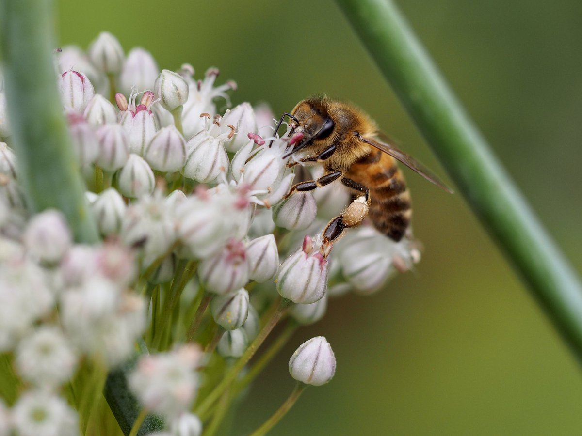 Dave Butler tweet media