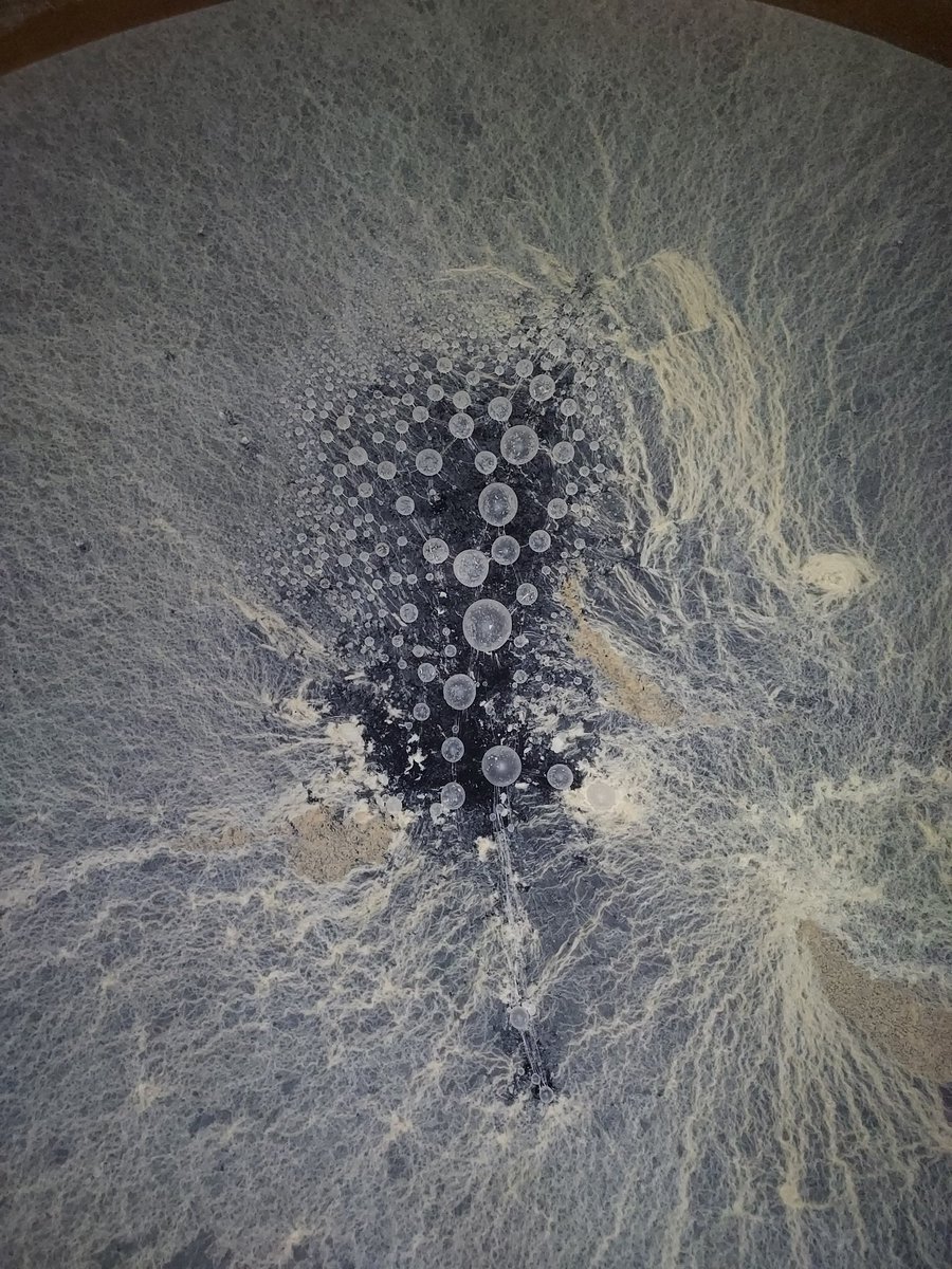 No es Marte, es Montilla-Moriles. 

#Levadura #VeloDeFlor