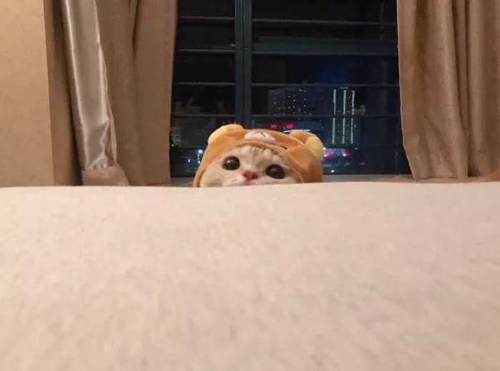 haengnim_'s tweet photo. 아흐흑 https://t.co/xPMgva5qlW