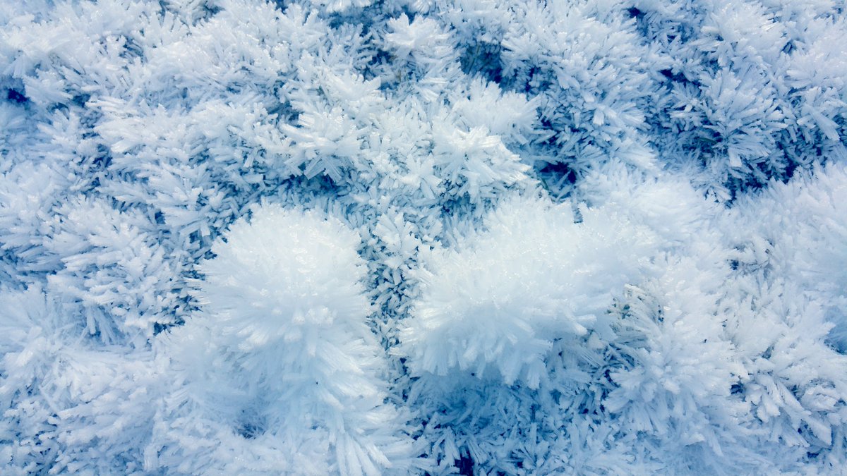 Observations - Winter walk - France south west 
*** Natural structures - Morphogenesis laws ***
#frozen #snow #NaturePhotography
