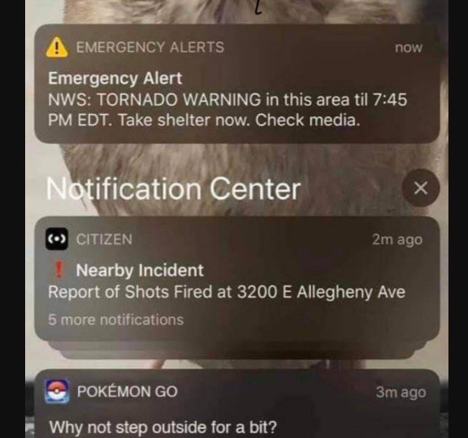 Images That Make You Feel Pain tweet media