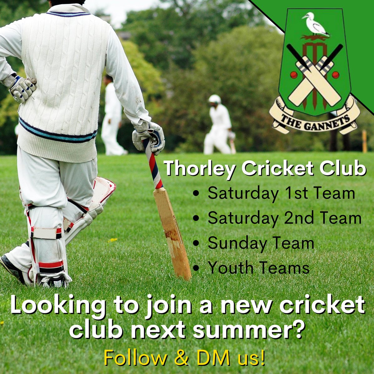 thorley_cc's tweet photo. Looking for a new cricket team next summer? 🏏☀️

We’re looking for all ages to join our club❗️

Follow and DM us for more information 👋 https://t.co/C2gDOztoa3