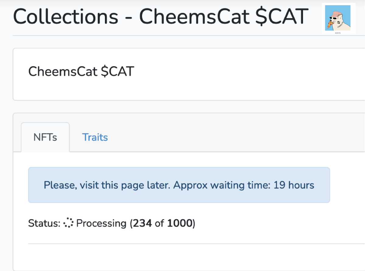 Cheems Cat tweet media