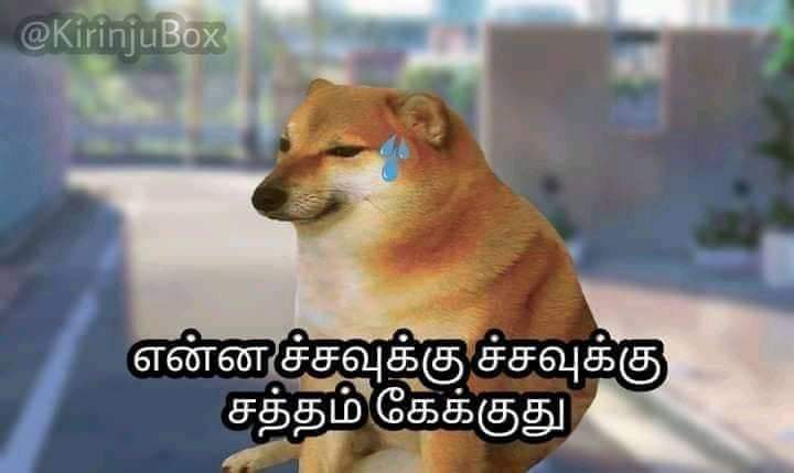 Genuine_maravan's tweet photo. Hmmmmmm https://t.co/yq8ZUYA1Ml