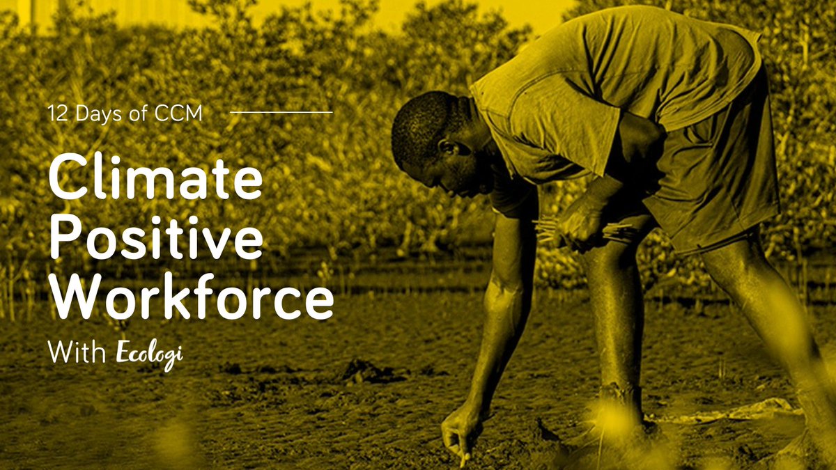 We're proud to be leading up to our 1-year milestone of being a #ClimatePositiveWorkforce with the help of <a href="/Ecologi_hq/">Ecologi 🌍</a> 💚

🌲 10,000+ trees planted 
🍃 500+ tonnes of CO2 reduction 

Here's to another year of #protectingtheplanet 🌍