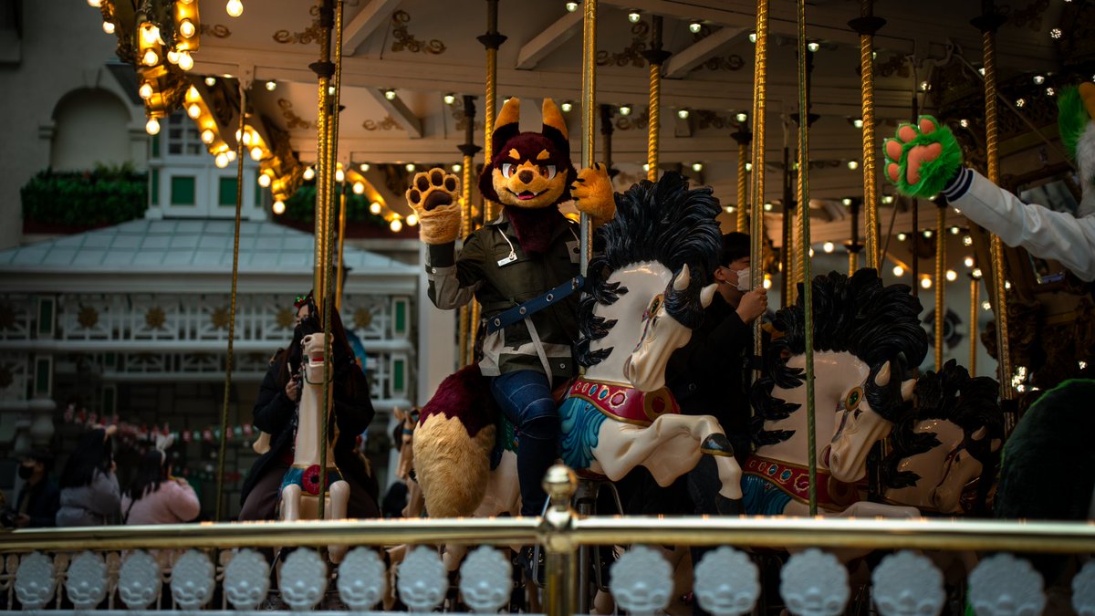 Gomae_0806's tweet photo. Wolf-go-round
πΈ@kurute_flute
πΊπ‘π
#FursuitFriday #fursuit #furry #gomae https://t.co/2OHzhNlXoZ