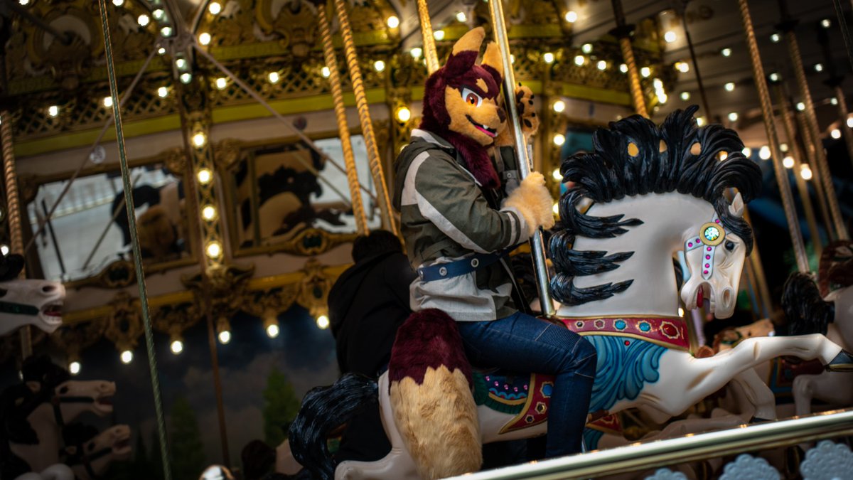 Gomae_0806's tweet photo. Wolf-go-round
πΈ@kurute_flute
πΊπ‘π
#FursuitFriday #fursuit #furry #gomae https://t.co/2OHzhNlXoZ