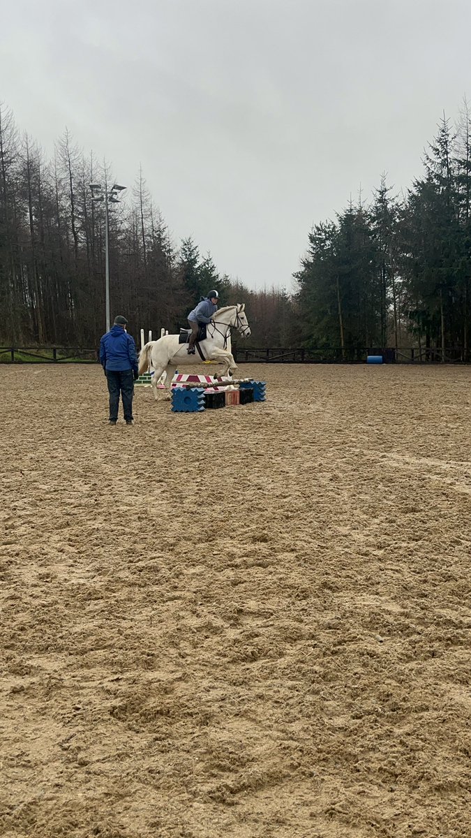 SoulCoachPaula's tweet photo. Sure what else would you be doing on a damp rainy day?#clearround https://t.co/R1111gmDUI