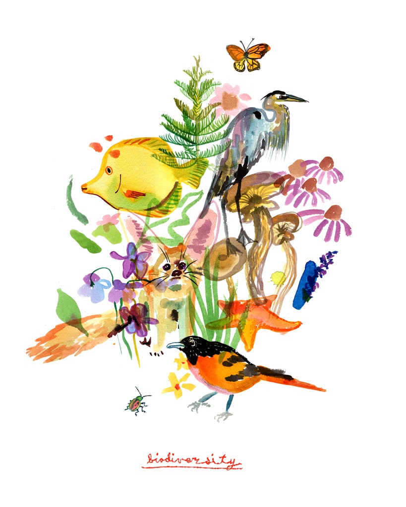 Another 2021 favorite: “Biodiversity” for the @OurPlanetWeek illustration challenge 🐠🌲 🌸 🍄  #OurPlanetWeek #LetsDrawTheChange