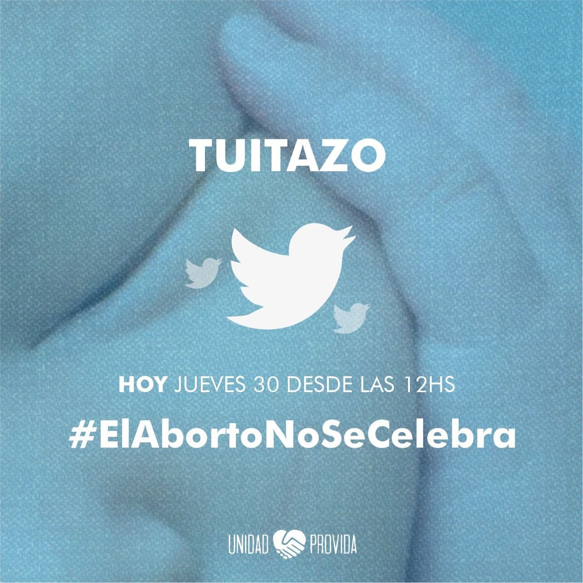 Gloria Vergara del Carril tweet media