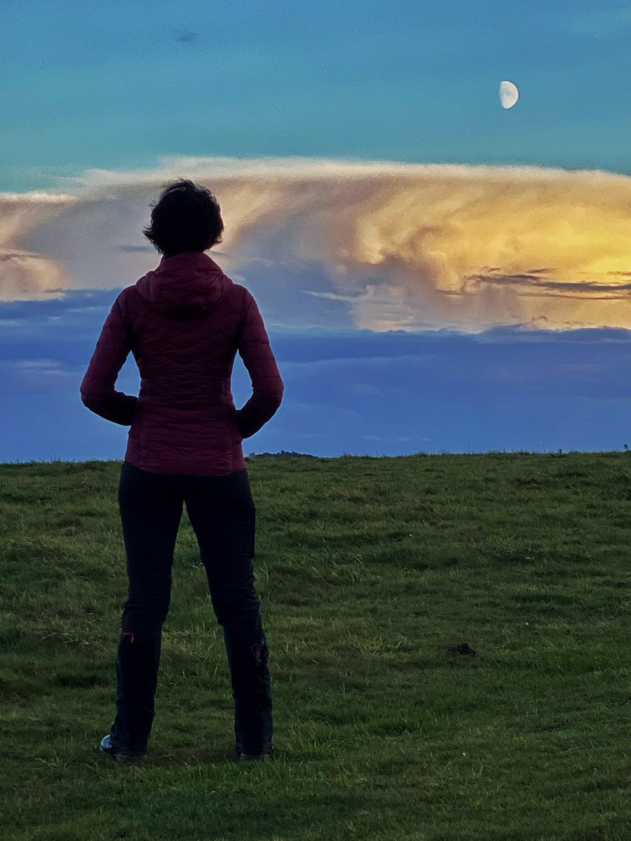 Sue Marsh 🇬🇧🇹🇹🌎 tweet media