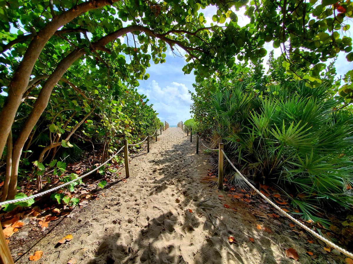 firewheelphoto's tweet photo. Excited to share the latest addition to my #etsy shop: Trail to Teal Waters and Blue Skies https://t.co/ePLjH75VGy #miamibeachart #miamibeachprint #miamiphotoprint #miamigift #floridaphotoprint #southbeachprint #miamiphotography #southbeachwallart #miamiwallart https://t.co/BakgiB3lxA