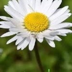 Photo by อัศว์ อรุณรัตน์ (@bwee072)
