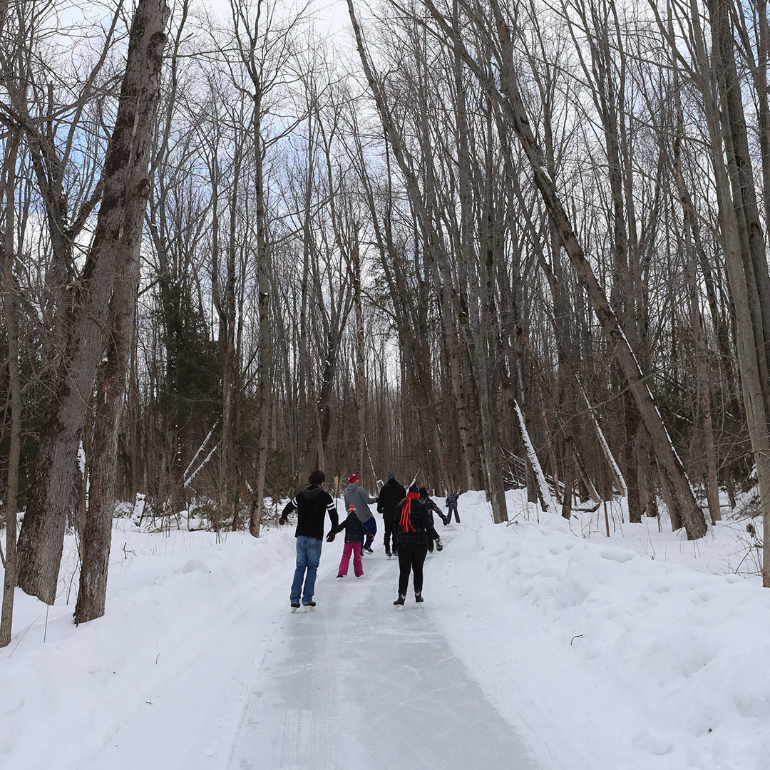 fernresort's tweet photo. What a nice day for a skate!
Our Maintenance Team has been hard at work, and it shows! The Skating Trail is in great shape 👏
#skatingtrail #funatfern #wintervacation #getoutside #ontariosallinclusive #brucegreysimcoe #orillialakecountry https://t.co/Y4BTSzK2Td
