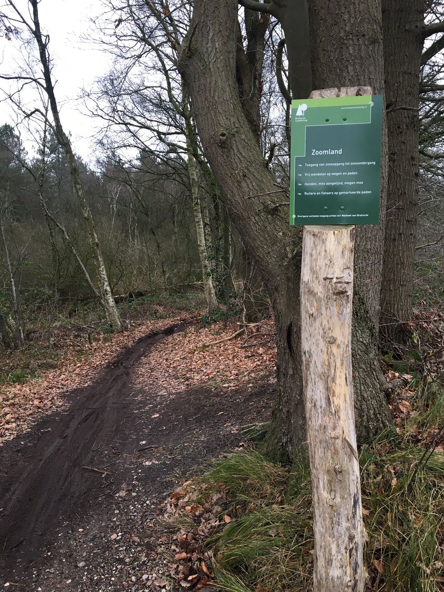 SSiBBrabant's tweet photo. Na de melding van een oplettende medewerker van Brabants Landschap hebben wij twee motorcrossers kunnen staande houden in verband met crossen in Natura2000 gebied “Zoomland” in Bergen op Zoom. De crossers hebben een proces verbaal gekregen. https://t.co/8KPClAXgd4