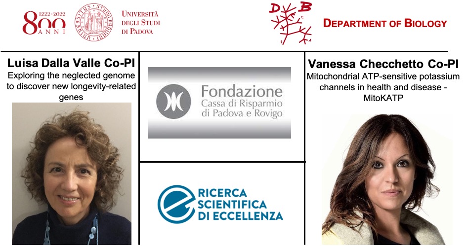 DiBio_UniPD's tweet image. Kudos to Luisa Dalla Valle and @ChecchettoUniPD who have been funded by @fondcariparo #Cariparo #Progetto di #Eccellenza as Co-PI of two different projects in collaboration with Marco Sandri and @diegodestefani @UniPadova 
Well deserved!
#science #research #excellence