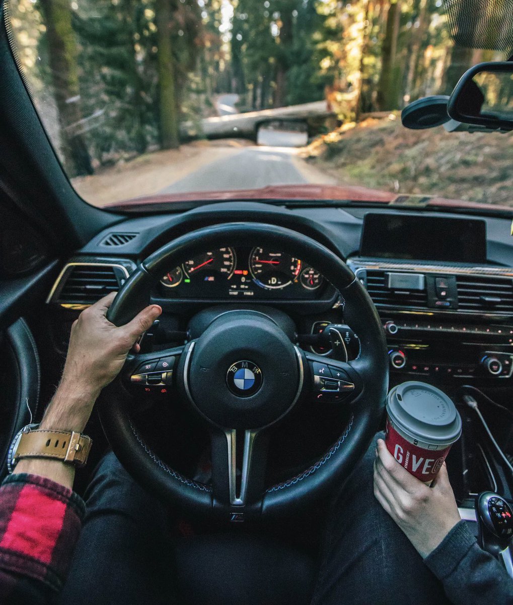 “Are you someone I can rely on?”
“Yes…”
—Chapter 16
#the #old #roseans #is #a #debut #mystery #thriller 
theoldroseans.com
<a href="/powerkeni/">Broken link take over By Bytes_Knight</a> @justinchon @thecrownnetflix <a href="/LukeSpeed7/">Luke Speed</a> <a href="/josiefreedman/">josie freedman</a> <a href="/icmpartners/">@icmpartners</a> <a href="/itsanitarani/">anita rani</a> @gilliana @emmalouisecorrin <a href="/SheDumps/">She Dumps</a>