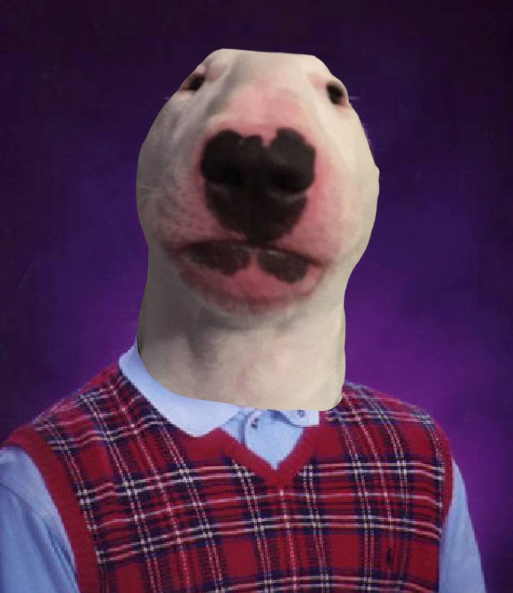WinslowArmy's tweet photo. Bad Luck Brian? No no no, we prefer Good Luck Walter π #GOODLUCKWALTER #WALTERINU #UNSTOPPAWALTERABLE https://t.co/PgtFDyN5A6