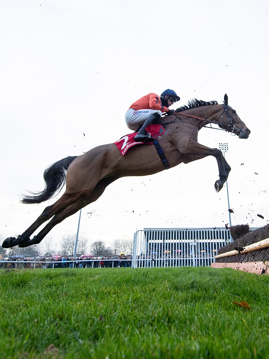 Bravemansgame's debut chasing season so far: 

October: Newton Abbot ✅
November: Haydock ✅
December: Kempton ✅

3/3 🥇🥇🥇

A future superstar ⭐️