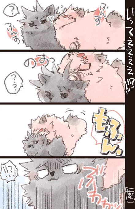 リク【宿伏もふが、もふもふ(交尾)してる】もふの豊かな被毛のおかげでぽいぴく行き免れたな…!!と思っていたんですが二枚目で割と台無しでした😇😇すみませんありがとうございます!!🤤 @mzk_kue 