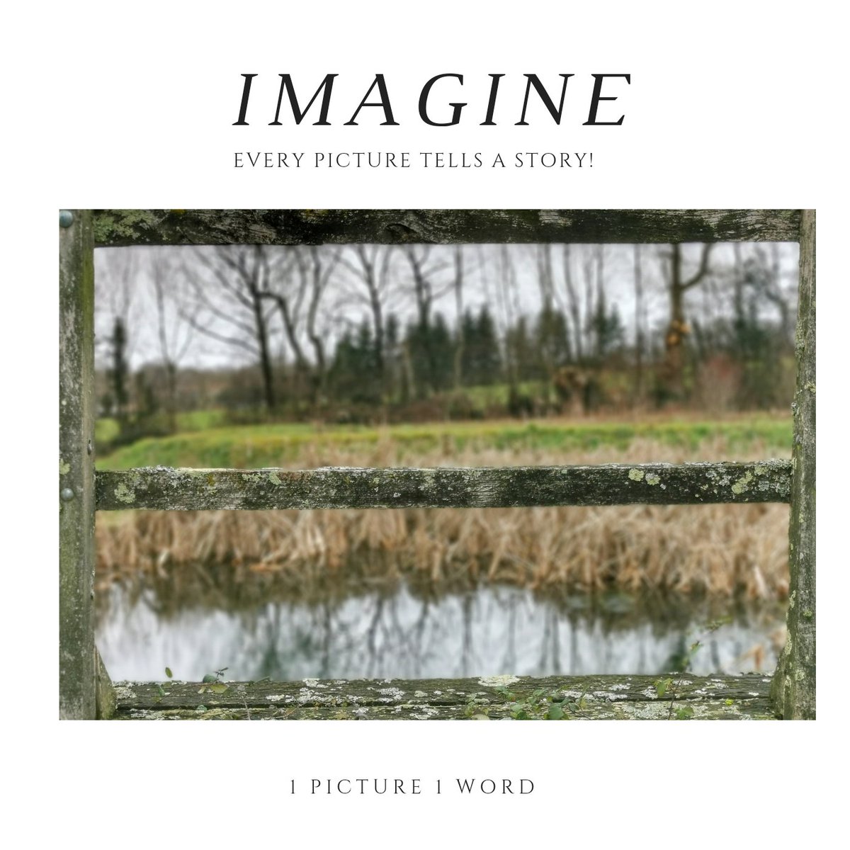 1Picture1Word's tweet photo. #Imagine
#1P1W #1picture1word
#activeemotion ποΈ
#battlepicture π π
Every picture tells a story! #Imagine #Photo #weare1forall
#France
The less you say, the more people remember πΈ
https://t.co/do7wSJhu8Y
#onepicture #oneword
#wishes https://t.co/Hhnodjcu0g