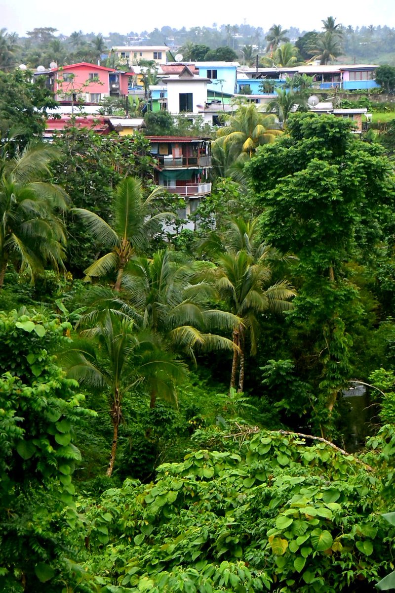 cglorentzen's tweet photo. On a gray and dark day I miss the view of green and lush Suva.
The capital of Fiji, "New York of the Pacific" and cultural melting pot 🇫🇯
#greencities #teamfiji #Capitals #thepacific #coconutwireless https://t.co/TUI5TvfxkF