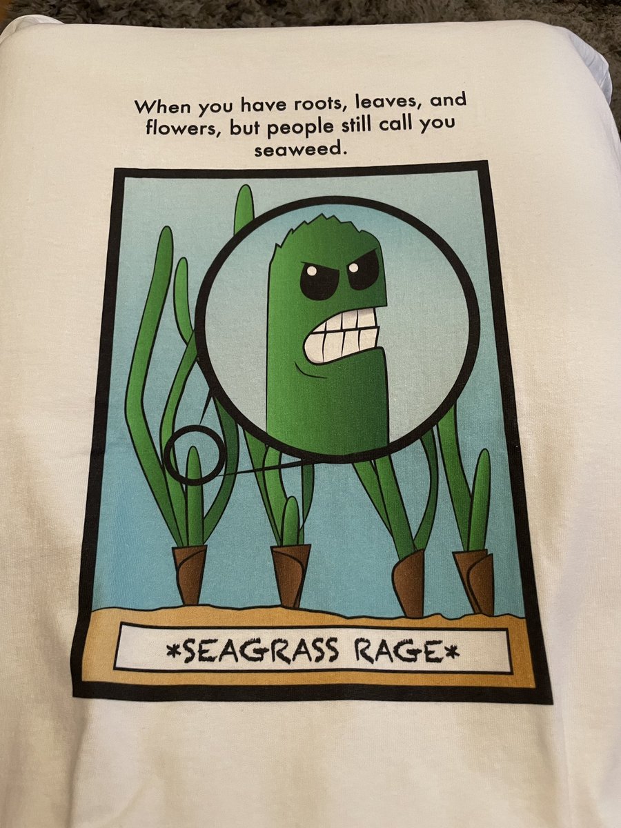 This is my new favourite t-shirt