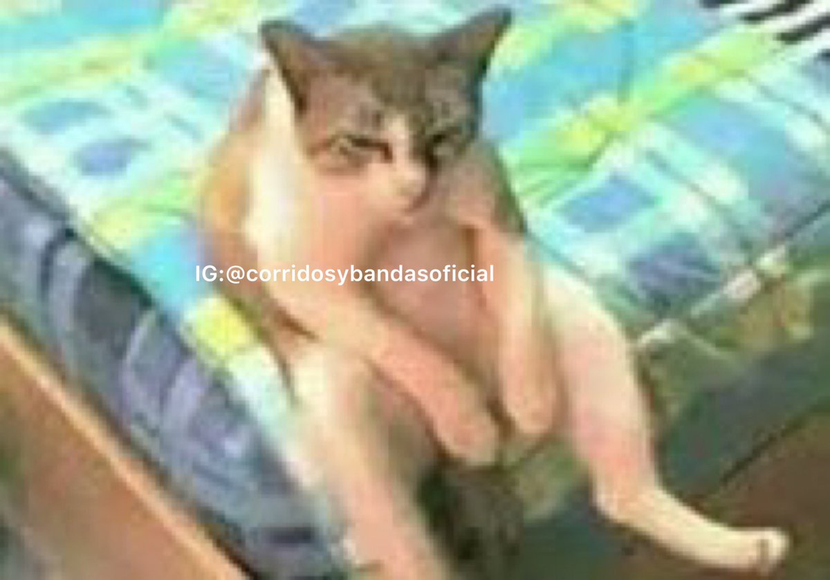 corridosybandas's tweet photo. Cuando te despiertas y te quedas viendo un zapato, mientras se te hace tarde. https://t.co/ILrAhrTpyJ