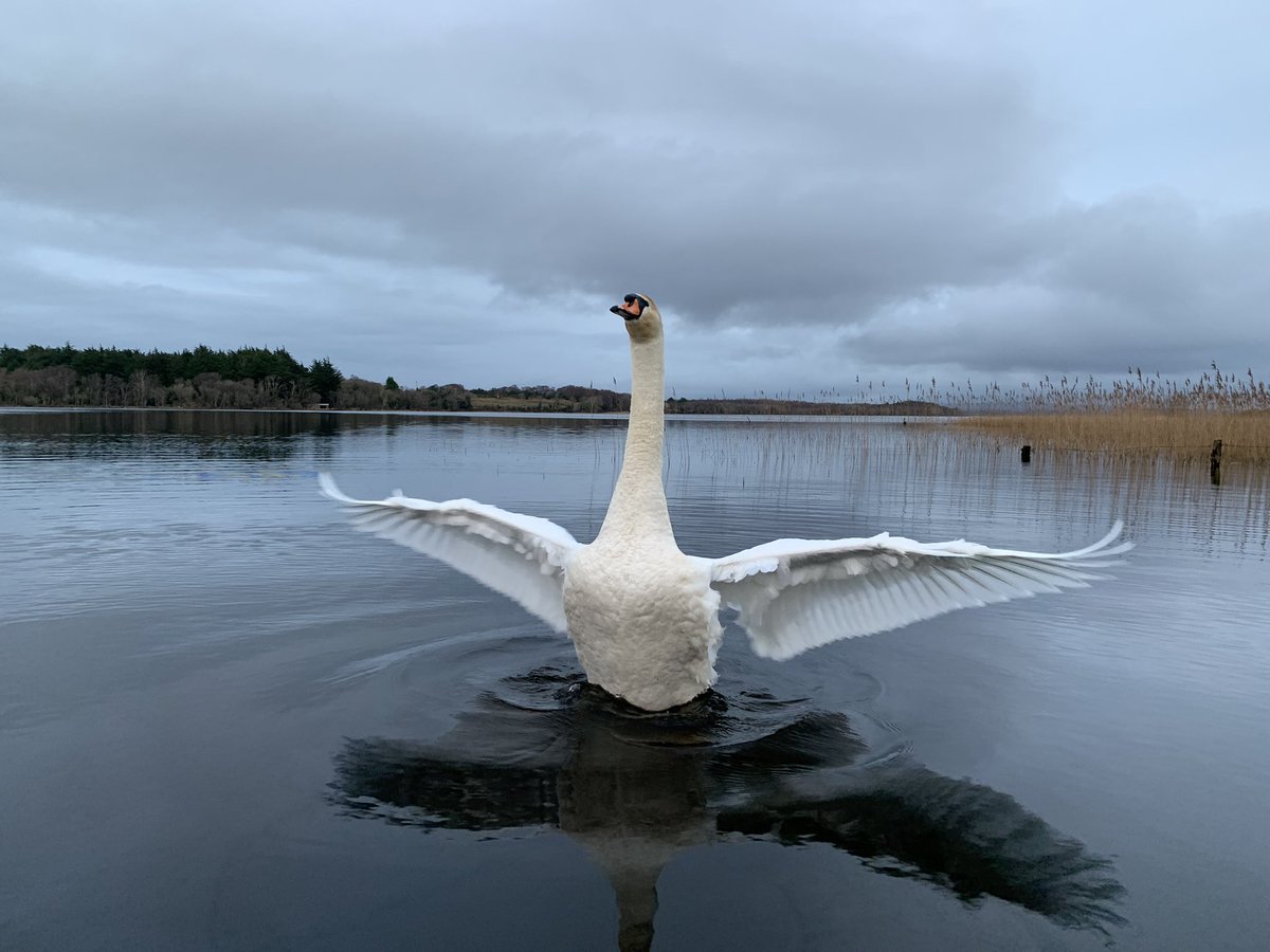 Daraghfallon's tweet photo. This 👌 @ Lough Melvin https://t.co/eGmzuZ8XN8