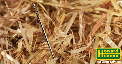 gaildicks's tweet photo. Finding the perfect #home can be like searching for a needle in a haystack.
Sign up here for our Howard Hanna unique buyer search program by clicking on this link  https://t.co/cR436qlK95.
#realtor #realestate #realestatetips https://t.co/sB6uroAxZq